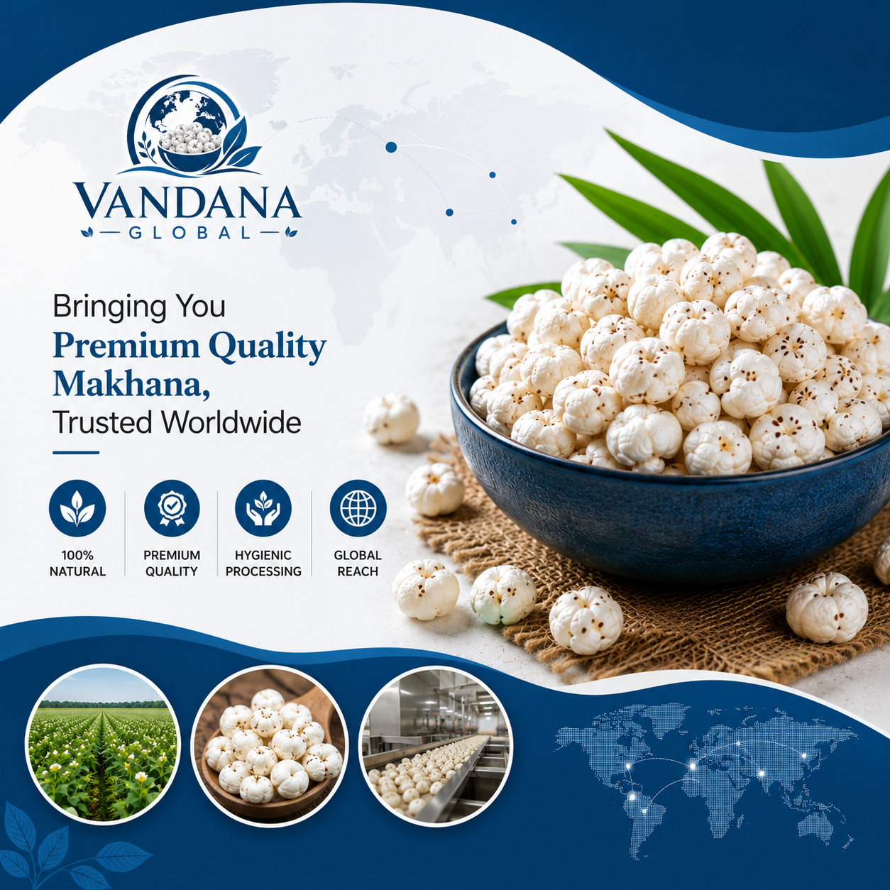 Why Choose Vandana Global Enterprises